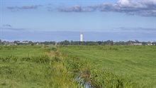 Veenweiden landschap