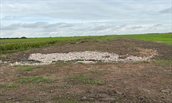 Beheerpad Bodegraven Noord 3