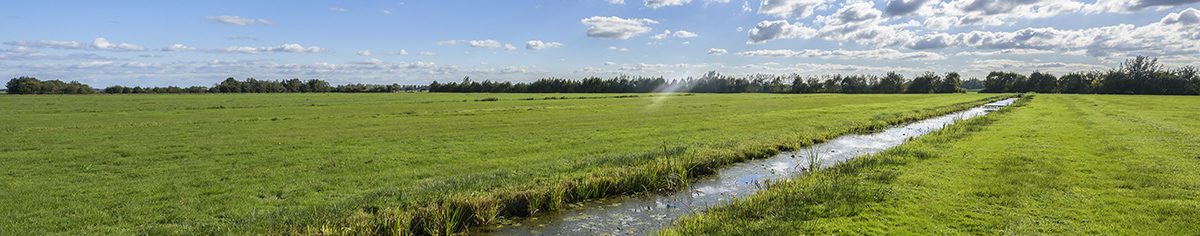 Weiland met water