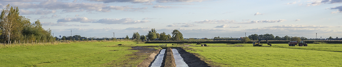 Weiland met water in het midden