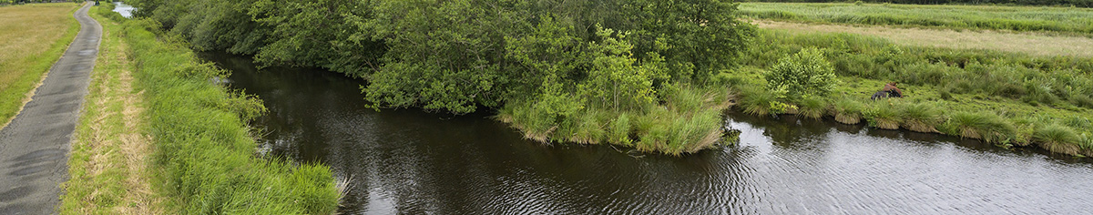Westveen fietspaadje langs het water