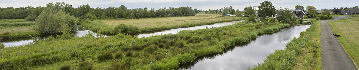 Fietspad met waterstroken in het Westveen veenlandschap